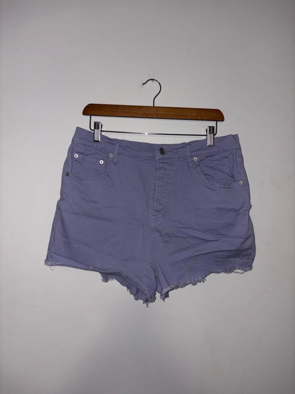 Jessica Simpson ~ Purple Shorts